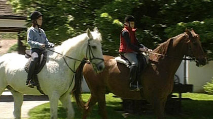 Das Hexenpferd.(ORF)