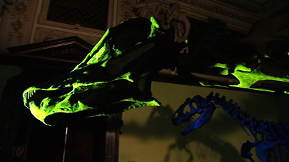 Der Saurier singt von einem Schatz.(ORF)