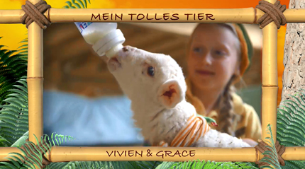 (c)ORF