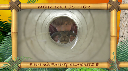 (c)ORF