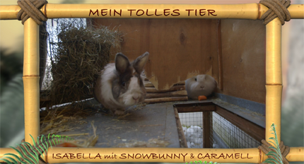 (c)ORF