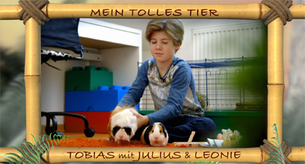 (c)ORF