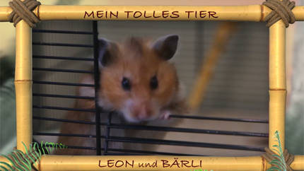 (c)ORF