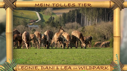 (c)ORF