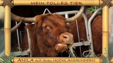 (c)ORF
