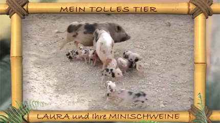 (c)ORF