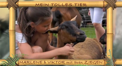 (c)ORF