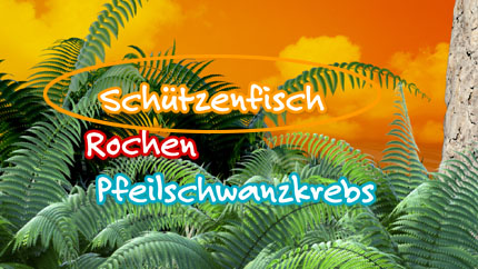 (c)ORF