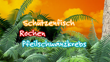 (c)ORF