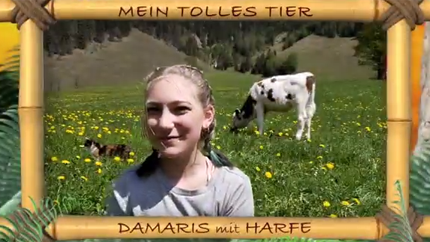 (c)ORF