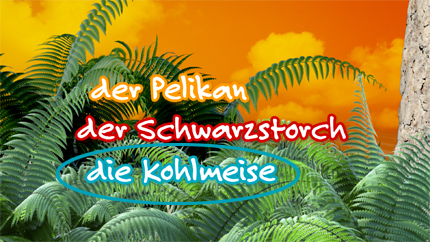(c)ORF