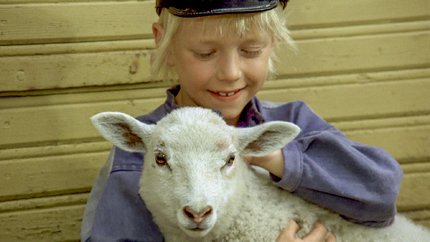 (c)ORF/Studio 100 Media