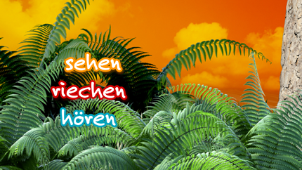 (c)ORF