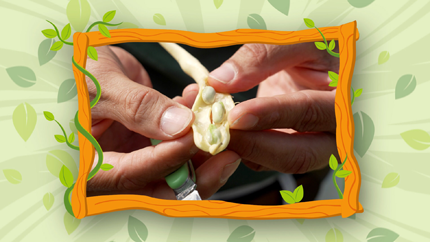 Foto: ORF/Steiner Familyentertainment