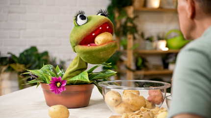 Foto: ORF/Steiner Familyentertainment