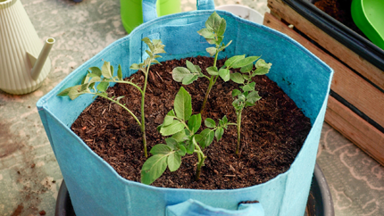 Foto: ORF/Steiner Familyentertainment