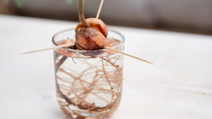 Foto: ORF/Steiner Familyentertainment