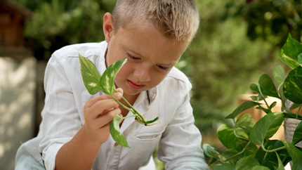 Foto: ORF/Steiner Familyentertainment