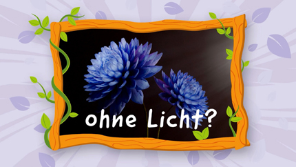 Foto: ORF/Steiner Familyentertainment