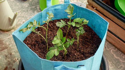 Foto: ORF/Steiner Familyentertainment