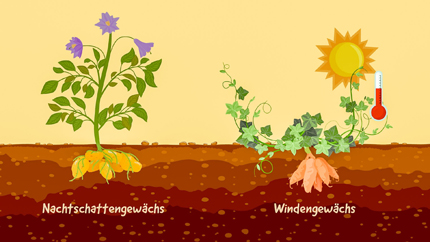 Foto: ORF/Steiner Familyentertainment